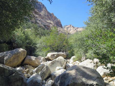 oak creek canyon