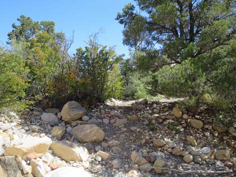 oak creek canyon