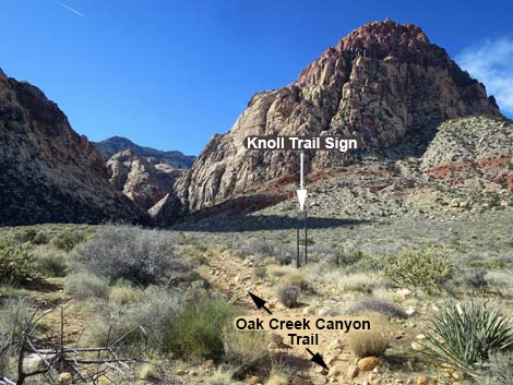 Knoll Trail