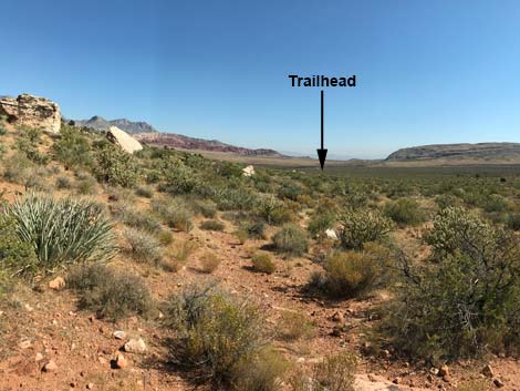 Oak Creek Canyon Trail