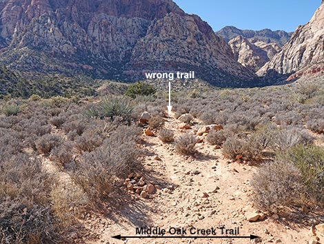 Middle Oak Creek Trail