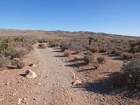 Middle Oak Creek Trail