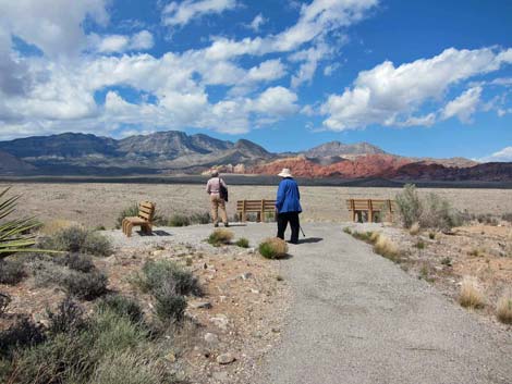 Overlook Trail