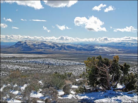 Scenic Loop Road Highpoint