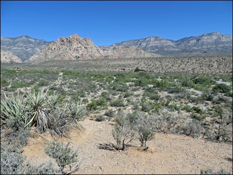 Red Rock Wash Overlook