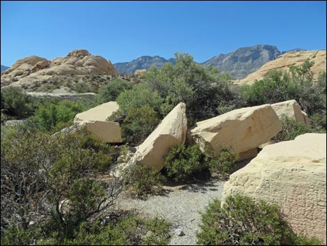 Sandstone Quarry