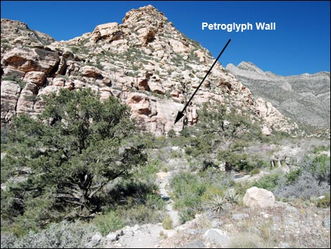 Petroglyph Wall Trail