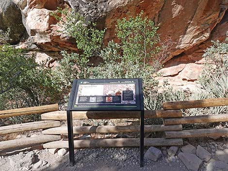 Petroglyph Wall Trail