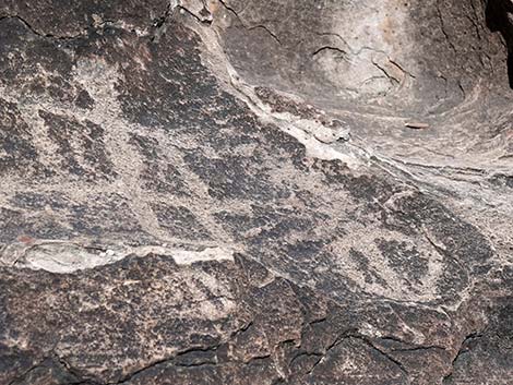 Petroglyph Wall Trail