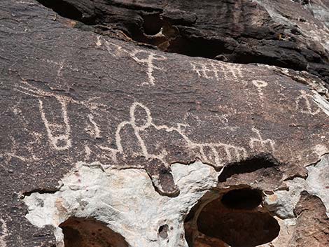 Petroglyph Wall Trail