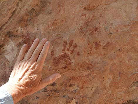 Petroglyph Wall Trail