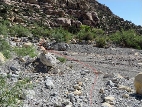 Petroglyph Wall Trail