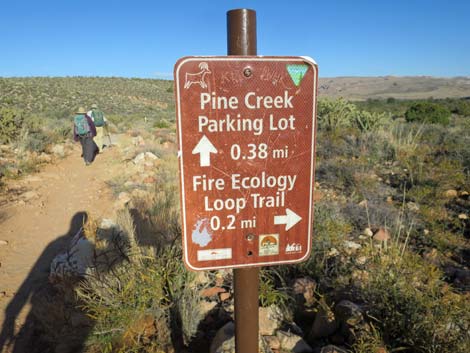 Pine Creek Canyon Trail