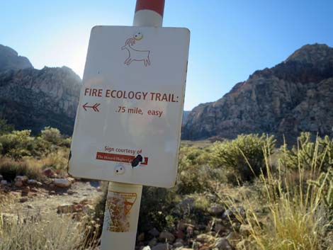 Pine Creek Canyon Trail