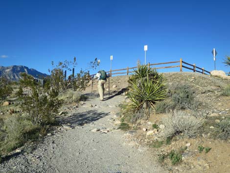 Pine Creek Canyon Trail