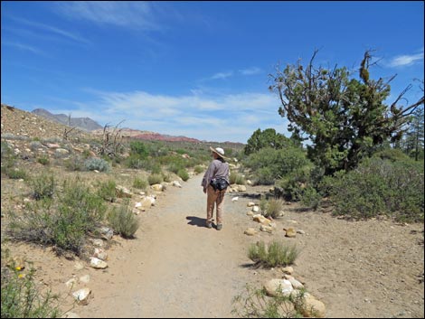 Pine Creek Trail