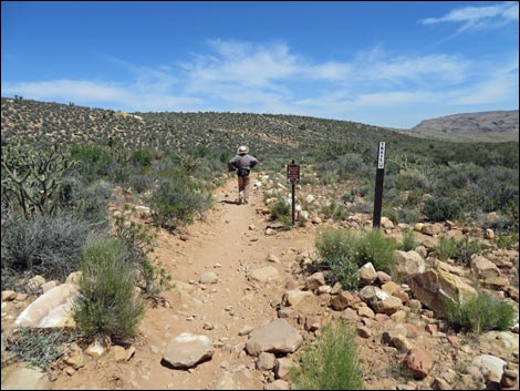 Pine Creek Trail