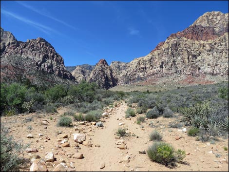 Pine Creek Trail