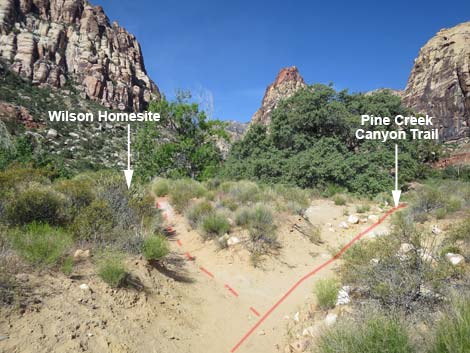 Pine Creek Canyon Trail