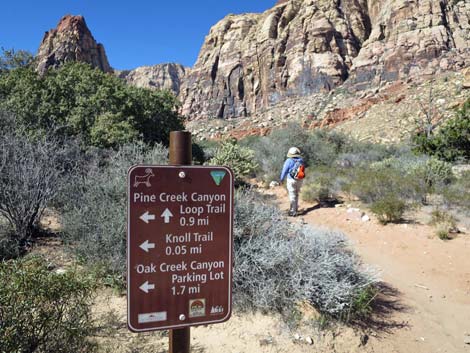 Pine Creek Loop Trail