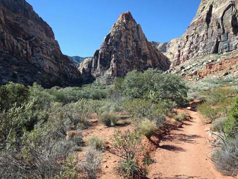 Pine Creek Trail