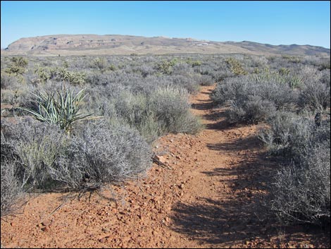 Rainbow Mountain Loop