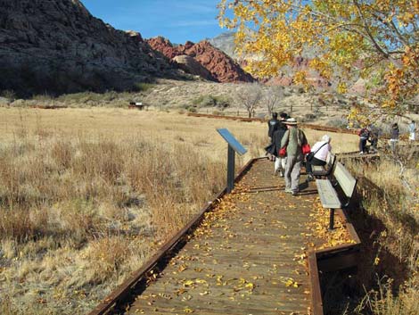 Red Spring Boardwalk