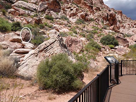 Red Spring Boardwalk Trail