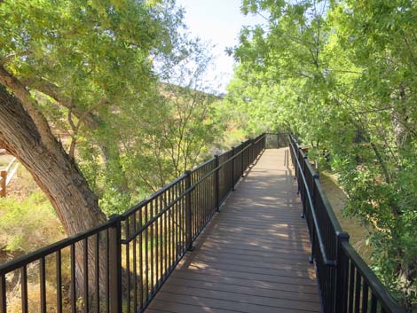 Red Spring Boardwalk