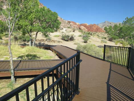 Red Spring Boardwalk