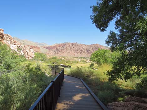 Red Spring Boardwalk