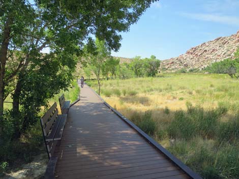 Red Spring Boardwalk