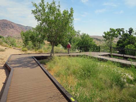 Red Spring Boardwalk