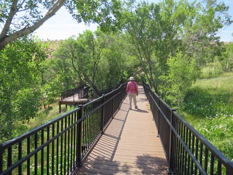 Red Spring Boardwalk