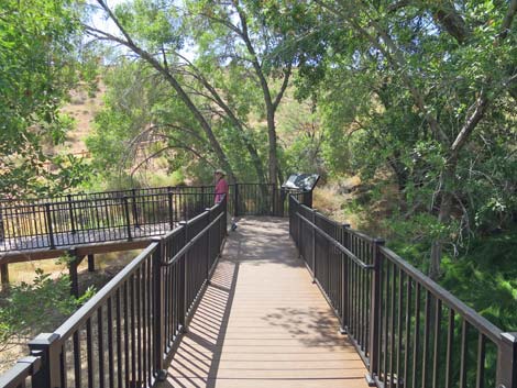 Red Spring Boardwalk