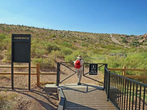 Red Spring Boardwalk