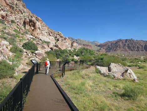 Red Spring Boardwalk Trail