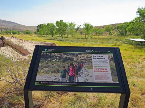 Red Spring Boardwalk Trail