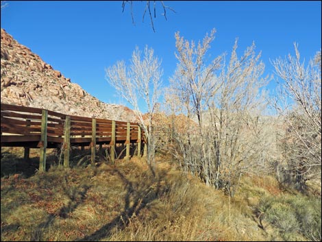 Red Spring Boardwalk