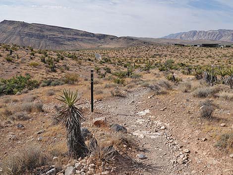 Ride Share Deluxe Loop Trail