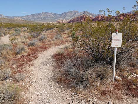 Ride Share Deluxe Loop Trail