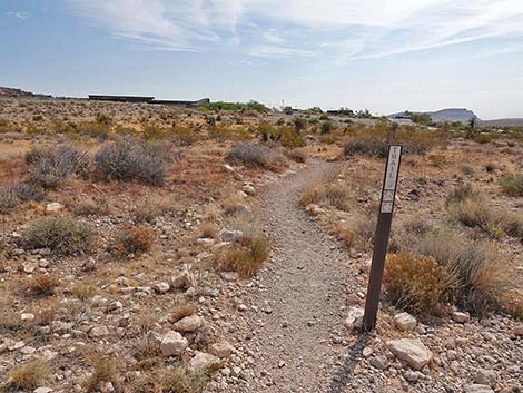 Ride Share Deluxe Loop Trail