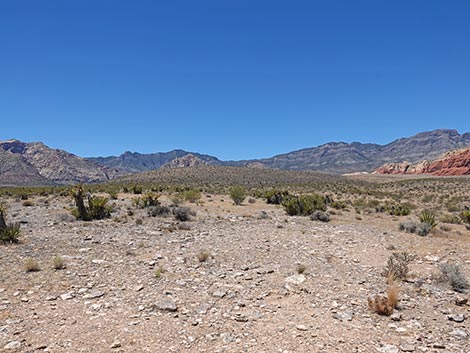 Ride Share Deluxe Loop Trail