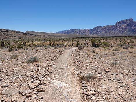 Ride Share Deluxe Loop Trail