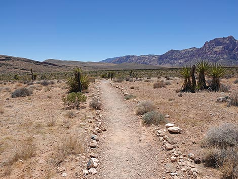 Ride Share Deluxe Loop Trail
