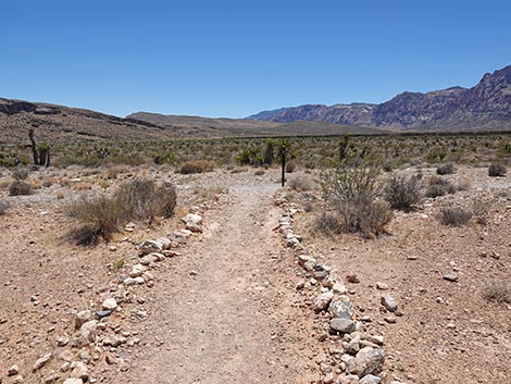 Ride Share Deluxe Loop Trail