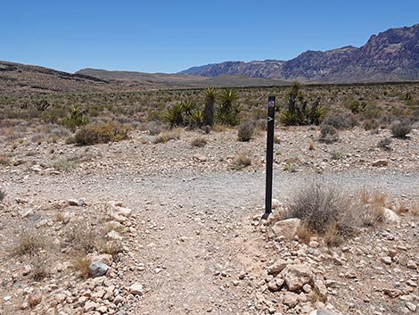 Ride Share Deluxe Loop Trail