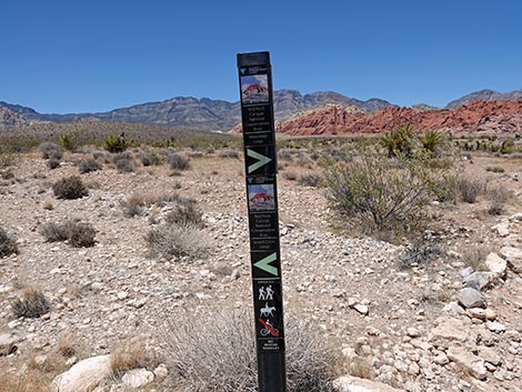 Ride Share Deluxe Loop Trail