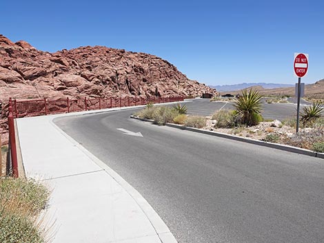 Ride Share Deluxe Loop Trail
