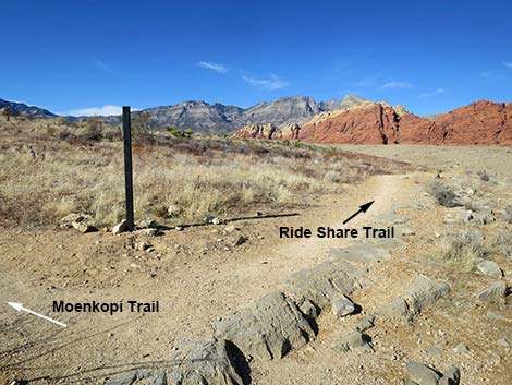 Ride Share Deluxe Loop Trail